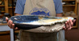 Mussels and More - Mussel Serving Dish
