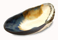 Mussels and More - Mussel Serving Dish