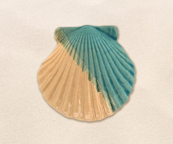 Shell Paperweights - Caribbean Blue and Yellow