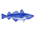 Chowder Mug - In Glaze Illustration - Atlantic Cod