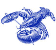 Glaze Illustration - Lobster - Chowder Mug