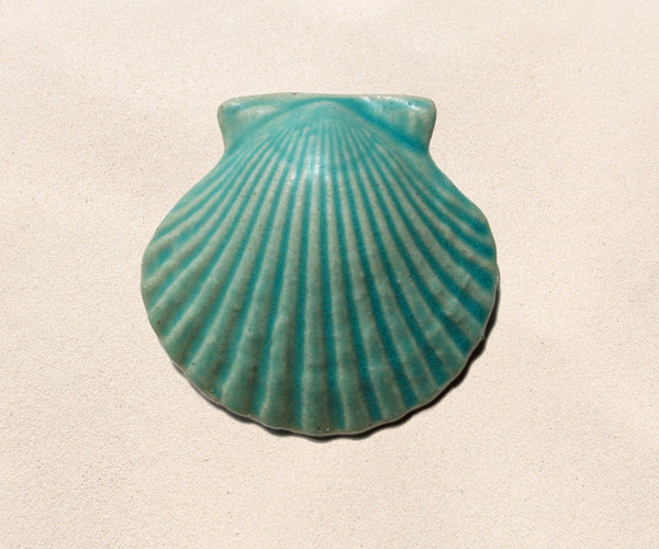 Shell Paperweights - Caribbean Blue