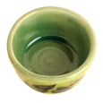 Green Holly Pinch Pot Set