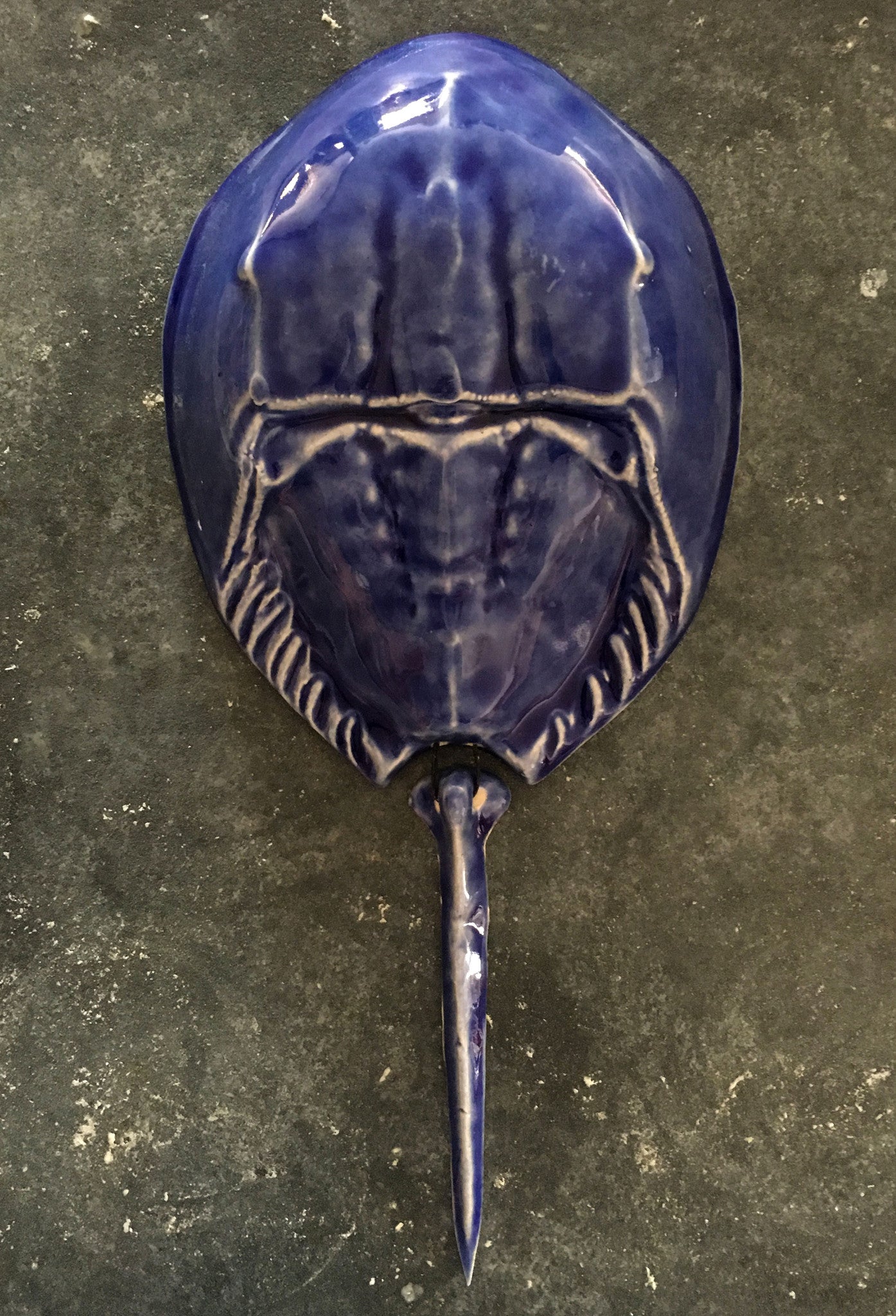 Horseshoe Crab - Cobalt Blue