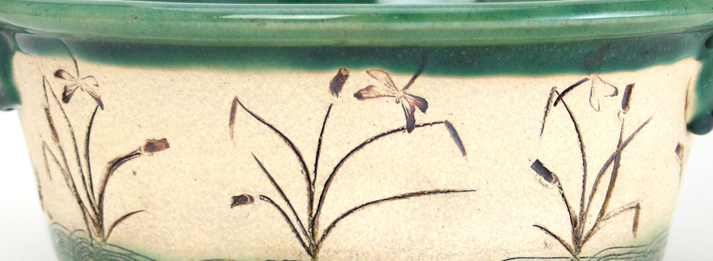 Dragonfly Collection