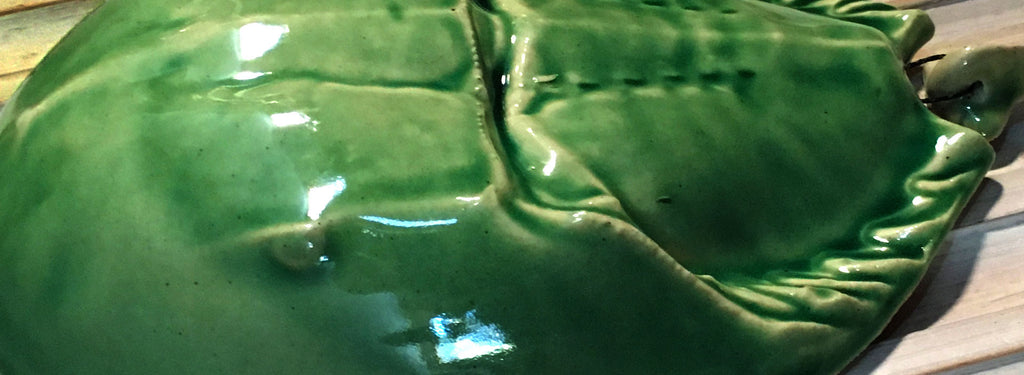 Horseshoe Crabs