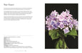 Book - Hydrangeas: Beautiful Varieties for Home & Garden