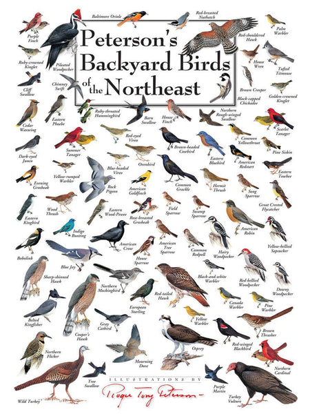 Jigsaw Puzzle - Peterson's Backyard Birds of the Northeast Puzzle