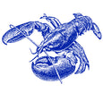 Lobster Decal - Chatham Pottery