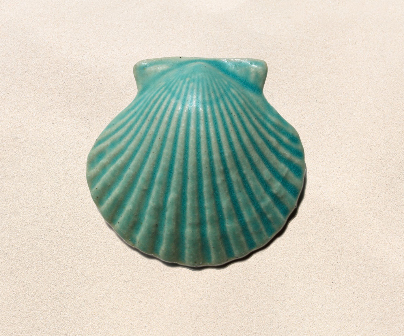 Shell Paperweights - Caribbean Blue